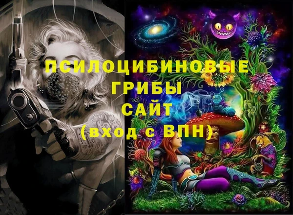 дурь Карпинск