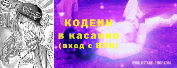 дурь Карпинск